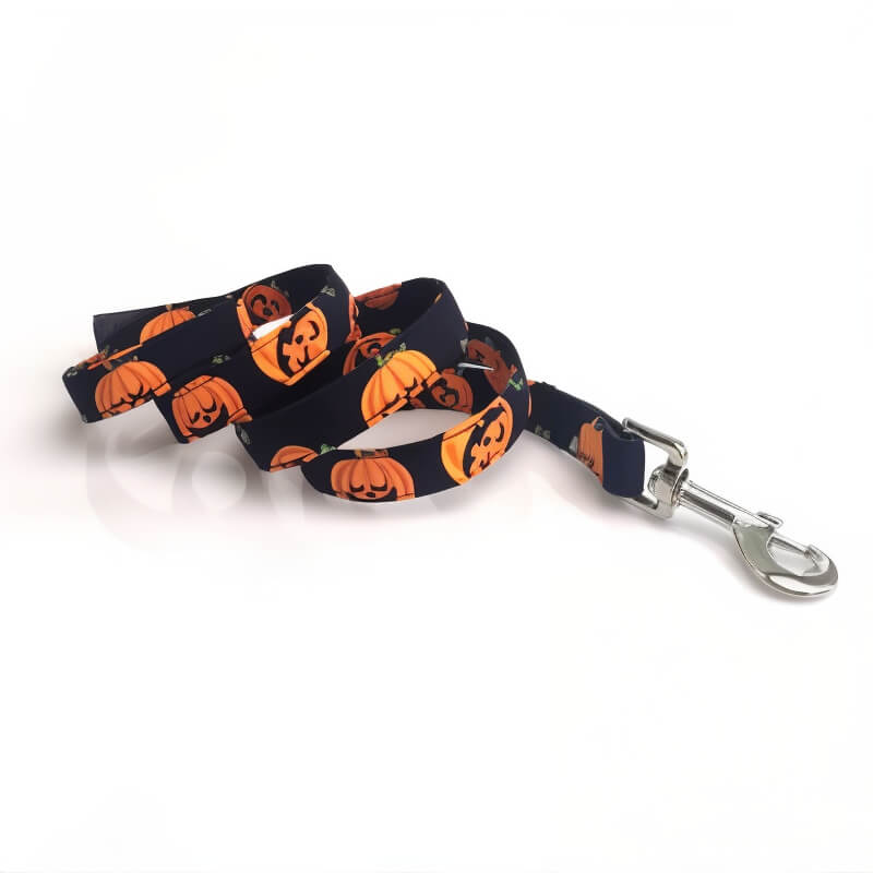 Pumpkin Leash