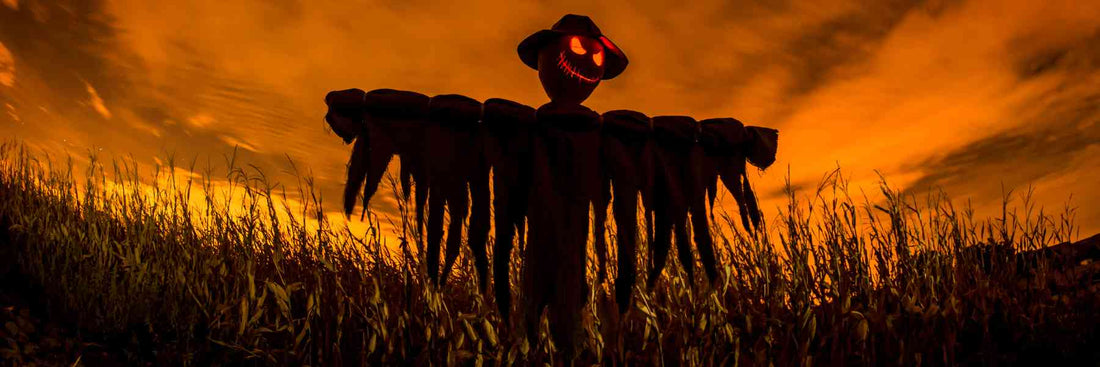 Cornfields Horror: Why They Inspire the Creepiest Stories