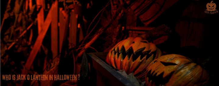 Who Is Jack o Lantern In Halloween ? - Jack Pumpkin
