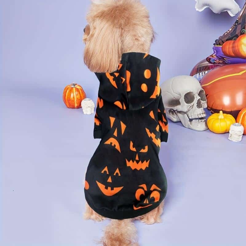 Halloween Dog Hoodie - Jack Pumpkin